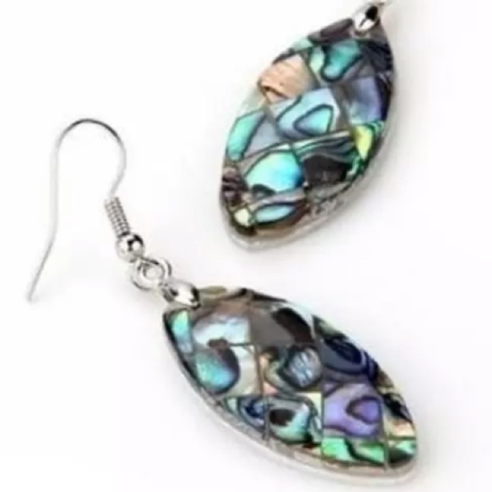 ✅🌹Natural Oval Abalone Shell Drop Earrings.